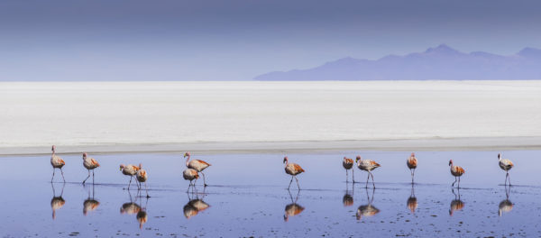 Salar de Uyuni - Bolivia