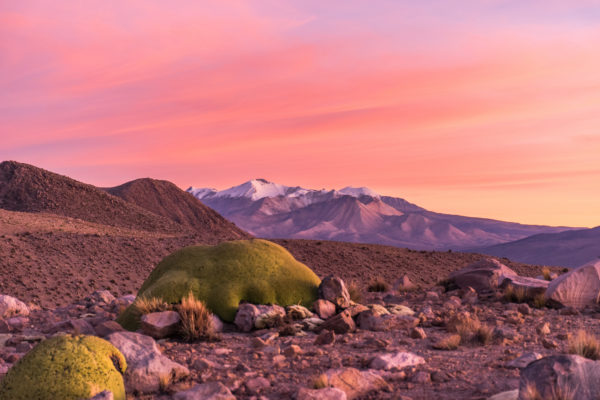 Sajama - Bolivia - Hugo Loayza - Paxsi